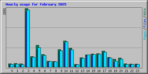 Hourly usage for February 2025